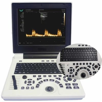 Chất lượng  12in LCD Display Veterinary Ultrasound Equipment For Large Animals FDA ISO nhà máy