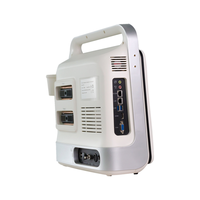 Máy siêu âm di động Xianfeng 4D Vet thời gian thực cho ngựa dê