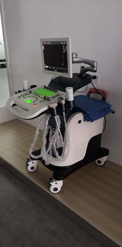 Máy siêu âm Doppler màu độ phân giải cao Thiết bị 3D 4D Tim mạch