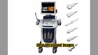 Máy quét siêu âm Doppler PW CFM PDI Chế độ